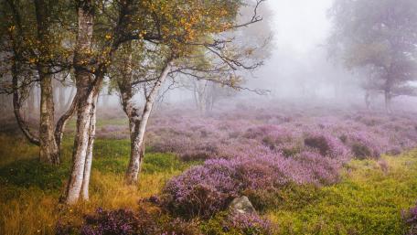 Peak District National Park wallpaper