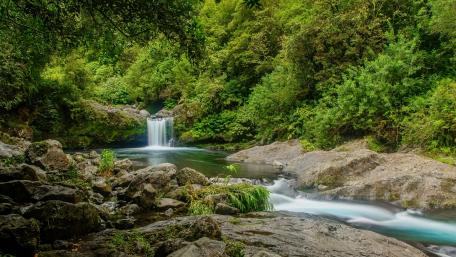 Serene Waterfall in Lush Forest Setting wallpaper