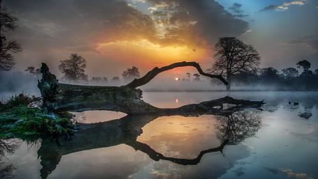 Serenity at Sunset Lake Reflection wallpaper