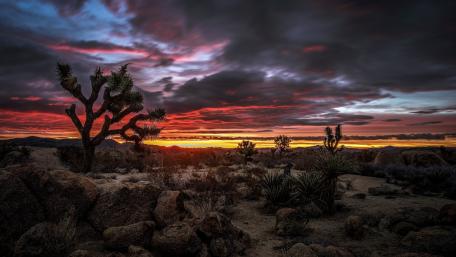 Vibrant Desert Sunset Landscape wallpaper