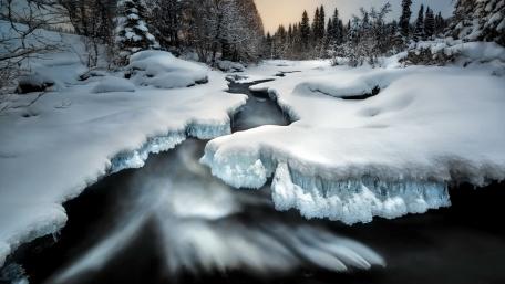 Winter's Tranquil Beauty in a Snowy Landscape wallpaper