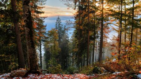 Autumn Serenity in the Mountainside wallpaper