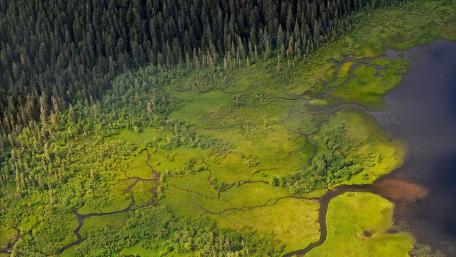 McKinley River, Denali National Park wallpaper