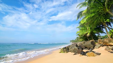 Tropical Paradise Escape for Summer Delight wallpaper