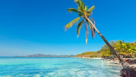 Tropical Paradise with Palm Trees and Crystal Clear Sea wallpaper