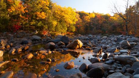 Autumn Serenity by the Riverbed wallpaper