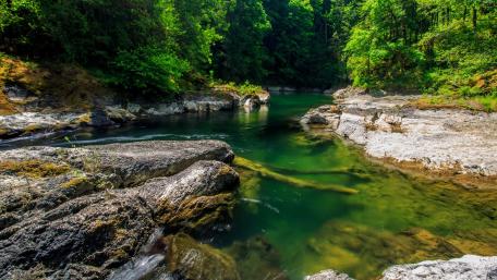 Tranquil River in Lush Greenery wallpaper