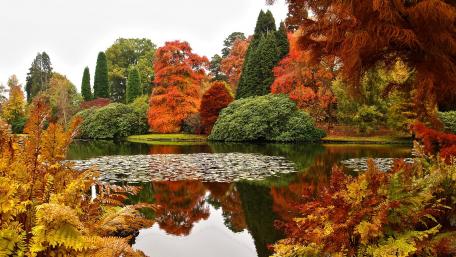 Autumn Serenity in a Tranquil Park wallpaper