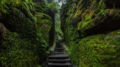 Saxon Switzerland National Park, Germany wallpaper
