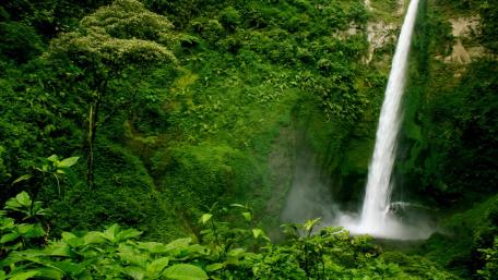 Majestic Waterfall in Lush Greenery of Indonesia wallpaper