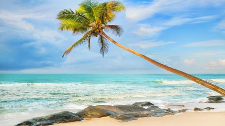 Serene Tropical Beach Bliss wallpaper