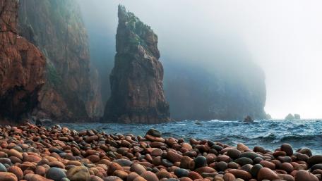 Cliffside Serenity in the Misty Morning Fog wallpaper