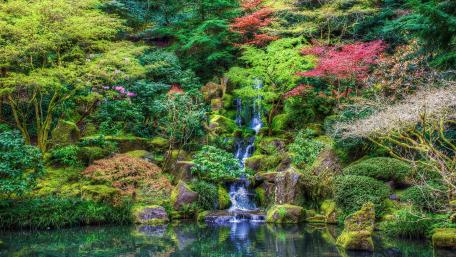 Washington Park, Japanese Garden wallpaper