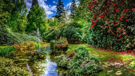 Serene Garden Oasis with Fountain and Lush Greenery wallpaper