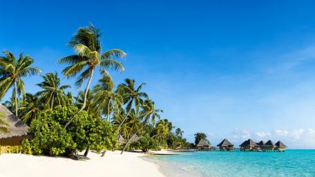 Tropical Paradise by the Sea wallpaper