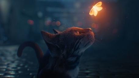 Magical Encounter in Moonlit Whiskers wallpaper