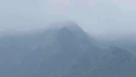Misty Peaks in Nature's Embrace wallpaper
