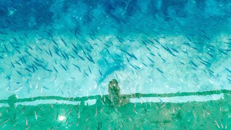Water reflection art wallpaper