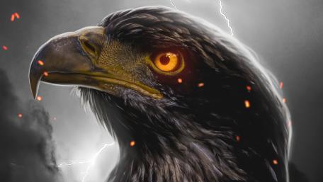 Mighty Eagle in the Storm wallpaper