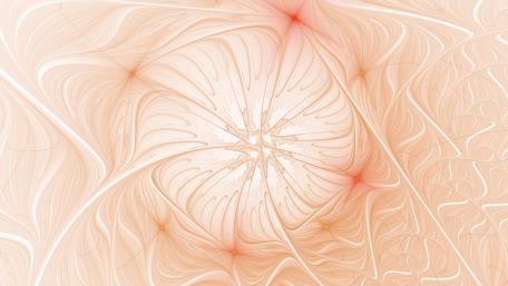 Rose wallpaper