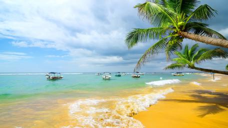 Tranquil Summer Beach Escape wallpaper