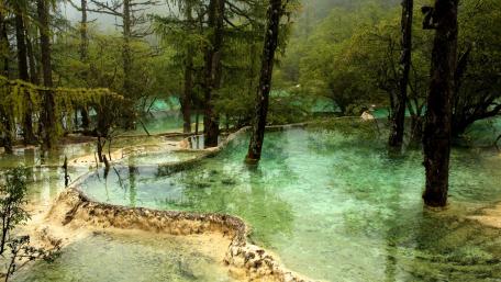 Serene Beauty of Jiuzhai Valley National Park Nature Wallpaper wallpaper