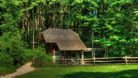 Watermill in forest wallpaper