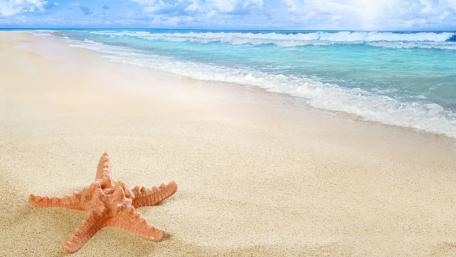 Serene Summer Beach with Starfish on Sand wallpaper