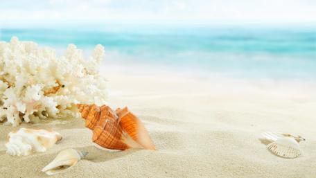 Coastal Serenity in Summer Bliss wallpaper