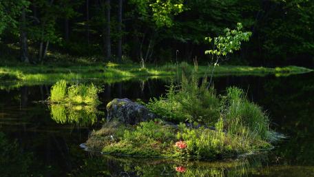 Serene Islet on Tranquil Lake Reflection wallpaper