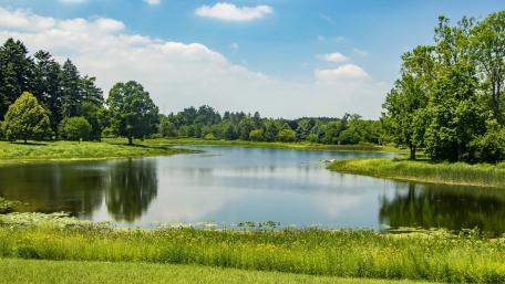 Hoge Veluwe National Park, The Netherlands wallpaper