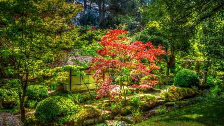 Tranquil Cottage Garden Escape wallpaper