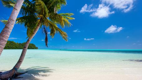 Tropical Beach Paradise Under Clear Blue Skies wallpaper