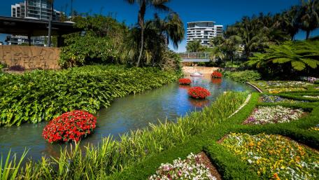 Vibrant Floral Oasis in Brisbane City wallpaper