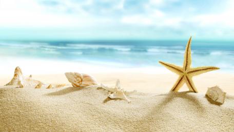 Summer Serenity by the Shoreline wallpaper