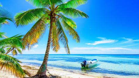 Tropical Serenity with a Motorboat on the Shoreline wallpaper