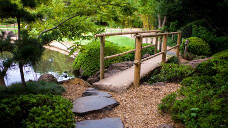 Serene Bamboo Bridge Over Calm Waters wallpaper