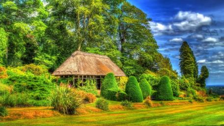 Charming Cottage Amidst Lush Greenery wallpaper