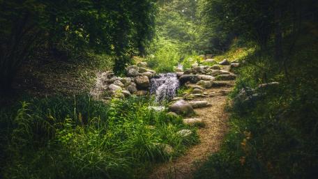 Radiant Serenity of a Forest Brook wallpaper