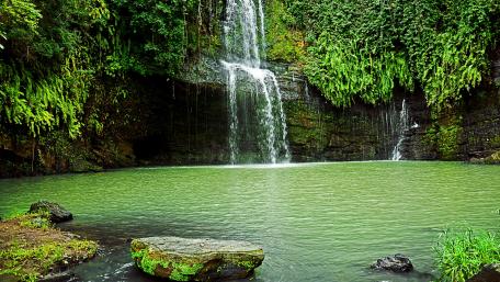 Serene Waterfall Amidst Lush Greenery wallpaper