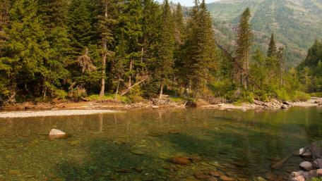 Serene River Flowing Through Lush Forests wallpaper