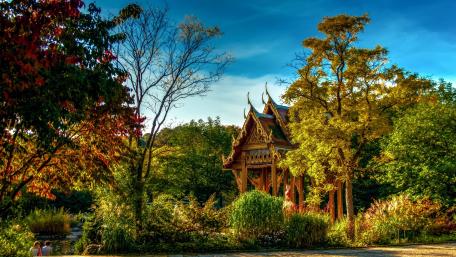 Serene Pagoda in a Lush Botanical Garden wallpaper