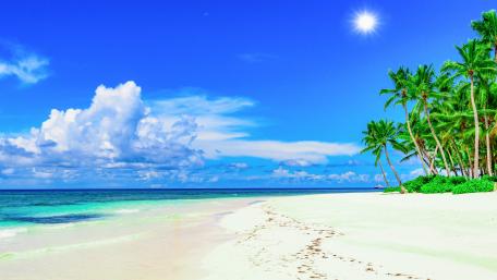 Tropical Paradise on a Sunny Day wallpaper