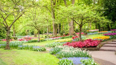 Keukenhof park wallpaper