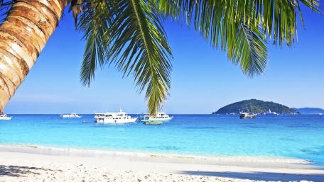 Tropical Serenity with Palm Trees and Ships wallpaper
