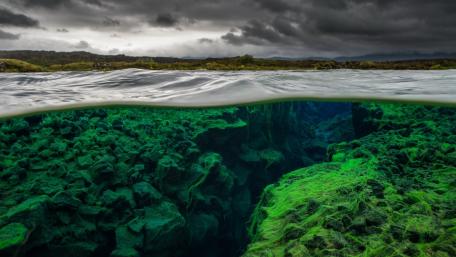 Mysterious Underwater Landscape Captured in Natural Light wallpaper