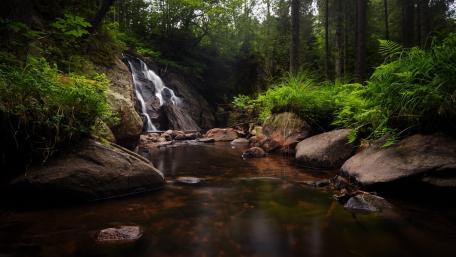 Tranquil Forest Waterfall Scene wallpaper