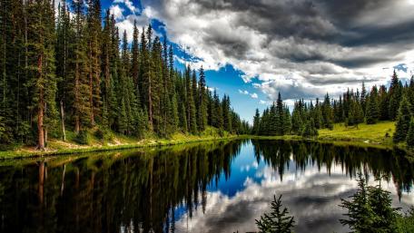 Serene Reflection of Nature in a Forest Lake wallpaper