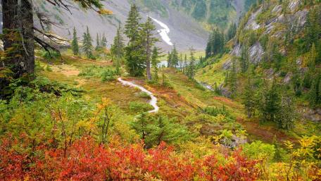 Autumn Pathway Through Vibrant Colors wallpaper