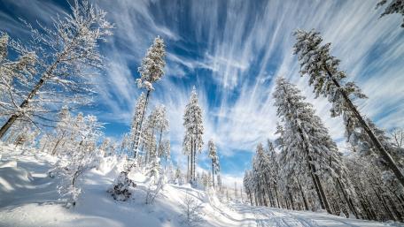 Winter Wonderland in Serene Landscape wallpaper